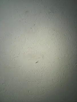 triplebeast online show from December 2, 2025, 8:16 am