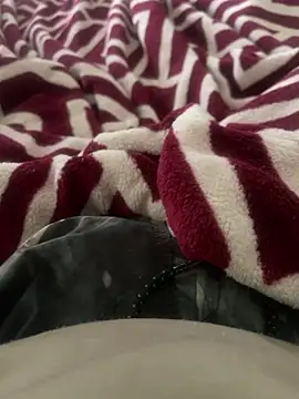 Snapshot of BCFZD chatting on November 13, 2025, 1:04 pm BCFZD online show from November 13, 2025, 1:04 pm