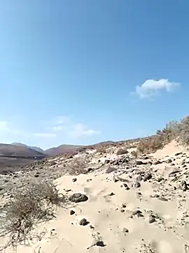 Snapshot of MountJohnXL chatting on March 17, 2025, 4:22 pm MountJohnXL online show from March 17, 2025, 4:22 pm