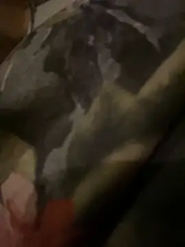 QTeepye online show from February 19, 2026, 4:42 am