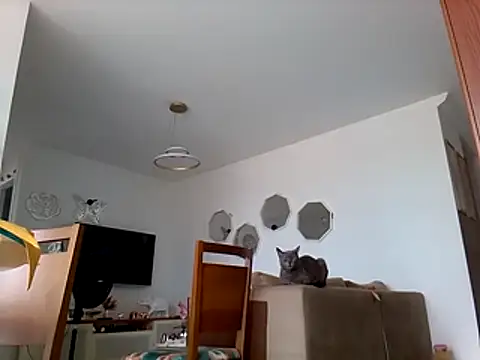 Munnoki online show from March 1, 2026, 10:37 am