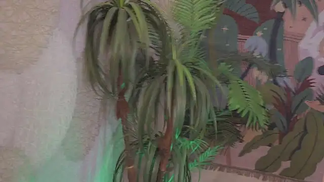 Bella Alita online show from October 9, 2025, 8:31 pm