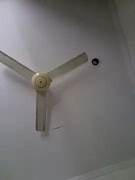 DrakeVega online show from February 4, 2025, 12:11 pm