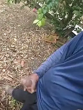 Snapshot of 1662 chatting on October 29, 2025, 11:31 am 1662 online show from October 29, 2025, 11:31 am