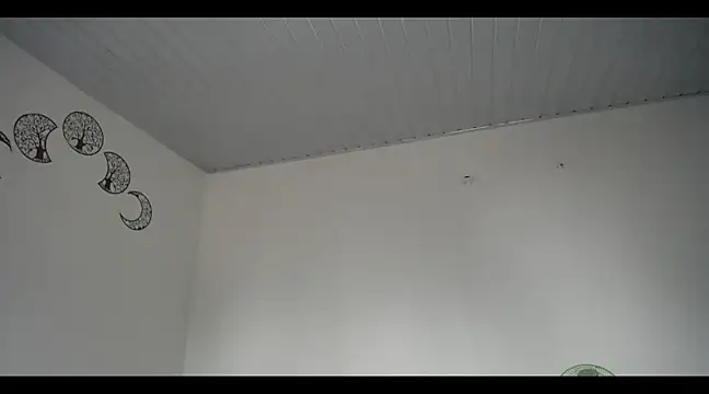 Snapshot of lana_roman chatting on March 20, 2025, 8:08 pm lana roman online show from March 20, 2025, 8:08 pm