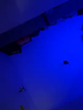 Snapshot of Raziv_komal143 chatting on March 10, 2025, 11:06 pm Raziv komal143 online show from March 10, 2025, 11:06 pm