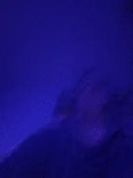 Paolo7619 online show from November 3, 2025, 5:05 pm