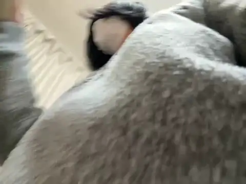 riri riri jp online show from February 28, 2026, 10:26 am