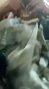 chocobbsimarn online show from March 19, 2025, 10:53 pm