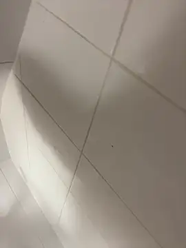 wyattstone online show from February 7, 2026, 9:56 pm