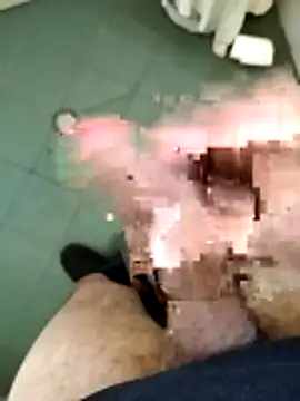 Snapshot of arveia chatting on March 19, 2026, 8:58 am arveia online show from March 19, 2026, 8:58 am