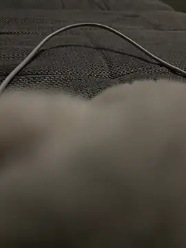 hengst2312 online show from January 20, 2025, 6:10 pm