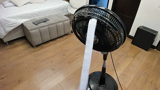 Mara Torres1 online show from March 5, 2025, 3:07 pm