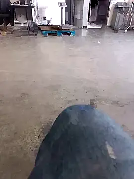 Trixboy201 online show from September 29, 2025, 7:19 pm