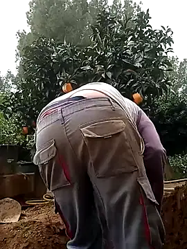 Snapshot of wapo100x100 chatting on January 29, 2025, 1:17 pm wapo100x100 online show from January 29, 2025, 1:17 pm