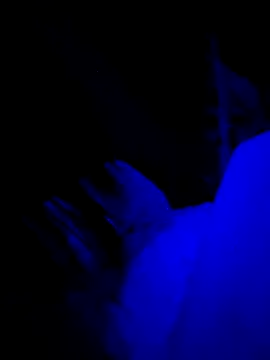 Jagebabe13 online show from December 2, 2025, 3:30 am