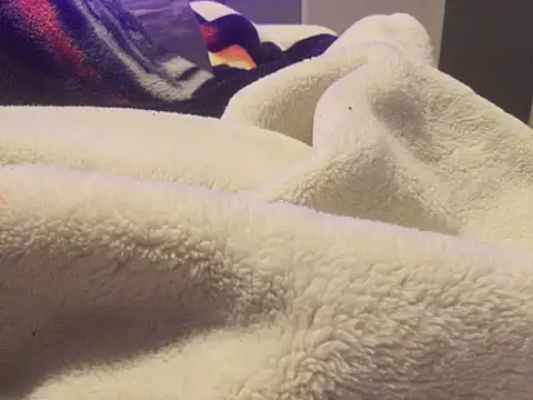 Snapshot of Pilote19 chatting on January 6, 2026, 12:20 pm Pilote19 online show from January 6, 2026, 12:20 pm