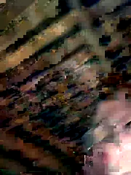 Snapshot of YourNotMySupervisor chatting on November 8, 2025, 4:16 am YourNotMySupervisor online show from November 8, 2025, 4:16 am