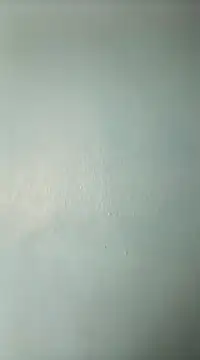 randit7 online show from March 19, 2025, 2:05 am