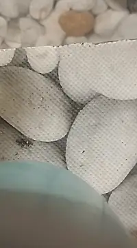 Snapshot of Playboy_bhabhi_00 chatting on February 25, 2025, 8:14 am Playboy bhabhi 00 online show from February 25, 2025, 8:14 am