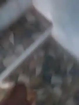 Snapshot of Playboy_bhabhi_00 chatting on March 18, 2025, 11:22 am Playboy bhabhi 00 online show from March 18, 2025, 11:22 am