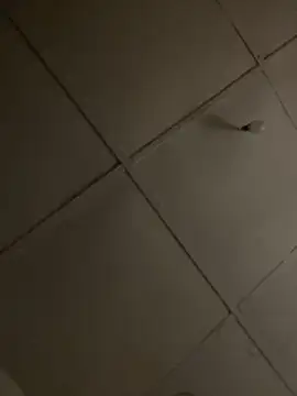 Snapshot of Boneca25 chatting on November 16, 2025, 6:12 pm Boneca25 online show from November 16, 2025, 6:12 pm