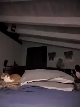 divinaerotica online show from November 17, 2025, 5:28 pm