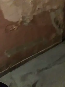 Snapshot of RussNocturnal chatting on February 27, 2025, 9:25 pm RussNocturnal online show from February 27, 2025, 9:25 pm