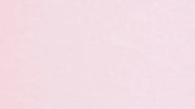 JhoanLeandro online show from April 11, 2026, 4:20 am