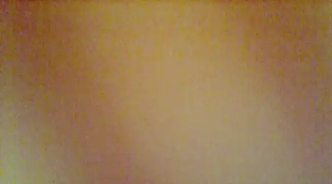 tseveline online show from February 4, 2025, 1:56 am