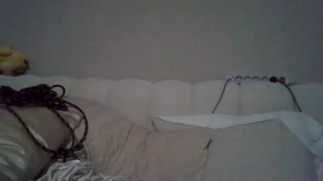 Snapshot of pietjepuk1310 chatting on March 25, 2026, 8:25 am pietjepuk1310 online show from March 25, 2026, 8:25 am