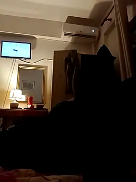 ginger 1 1 online show from March 17, 2026, 12:13 am