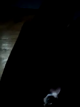 Snapshot of GsSpot69 chatting on October 25, 2025, 6:34 am GsSpot69 online show from October 25, 2025, 6:34 am