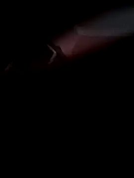 Snapshot of Arabian chatting on November 8, 2025, 10:08 am Arabian online show from November 8, 2025, 10:08 am