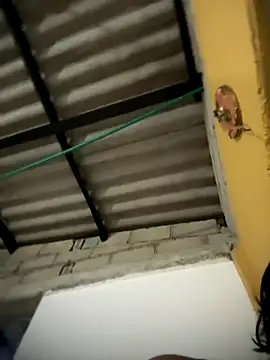 daniel6916 online show from November 16, 2025, 1:43 am