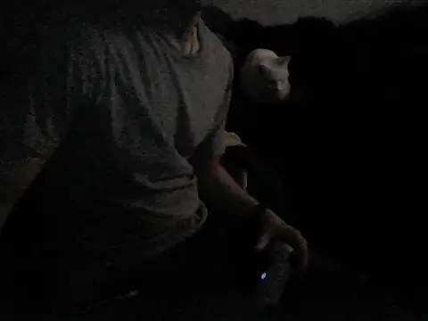 MarioKnero online show from February 26, 2026, 9:53 am