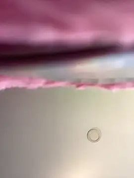 Dulce  Boyd online show from November 19, 2025, 1:33 pm