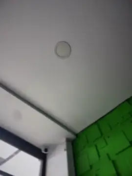 Dulce  Boyd online show from December 20, 2025, 1:47 pm