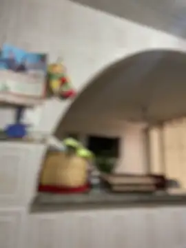 Carola-Ross online show from April 17, 2026, 5:38 pm