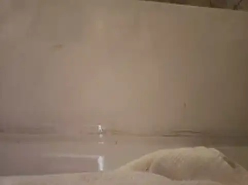 ShysluutGia online show from February 19, 2026, 12:57 pm