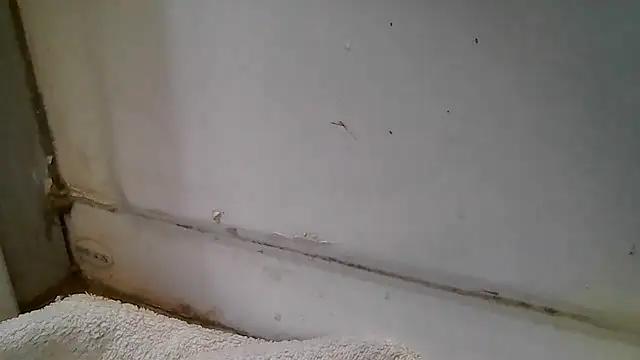 Snapshot of ShysluutGia chatting on December 15, 2025, 11:49 am ShysluutGia online show from December 15, 2025, 11:49 am