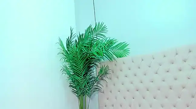 Andrea Tobar online show from February 12, 2025, 7:35 pm