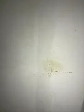 Snapshot of Hamza-Maroki chatting on November 21, 2025, 10:09 pm Hamza-Maroki online show from November 21, 2025, 10:09 pm