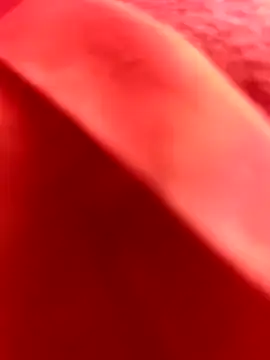 Snapshot of Nahuel141414 chatting on February 25, 2026, 11:10 am Nahuel141414 online show from February 25, 2026, 11:10 am