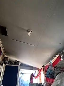 Snapshot of birdg chatting on September 14, 2025, 6:19 pm birdg online show from September 14, 2025, 6:19 pm