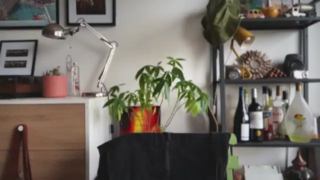 MikymikeBBWD online show from January 14, 2026, 10:41 am