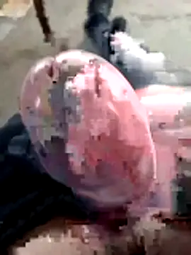 mar4oto1 online show from March 14, 2026, 11:38 am