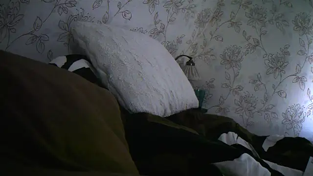 Snapshot of Teemu chatting on September 27, 2025, 2:34 pm Teemu online show from September 27, 2025, 2:34 pm