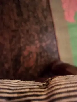 Snapshot of cocktony chatting on November 7, 2025, 10:31 am cocktony online show from November 7, 2025, 10:31 am