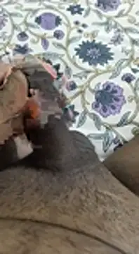 Snapshot of desi_pb02 chatting on November 6, 2025, 4:16 am desi pb02 online show from November 6, 2025, 4:16 am